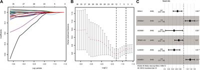 The Biological Function Delineated Across Pan-Cancer Levels Through lncRNA-Based Prognostic Risk Assessment Factors for Pancreatic Cancer